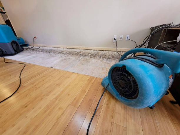 Professional Emergency Water Damage technician working in Rochelle Park, NJ